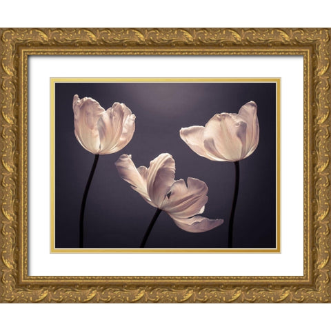 Three Tulips, FTBR-1824 Gold Ornate Wood Framed Art Print with Double Matting by Frank, Assaf