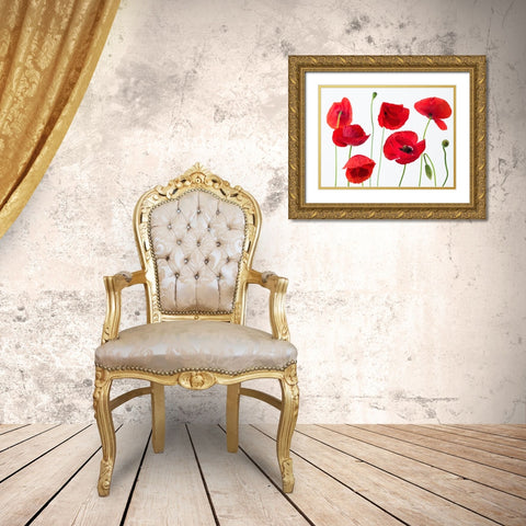 Poppies on white background Gold Ornate Wood Framed Art Print with Double Matting by Frank, Assaf