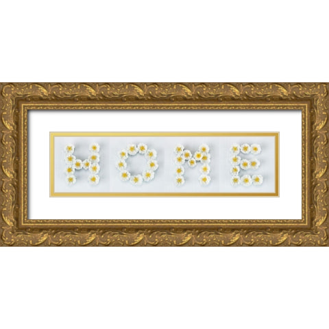 The word Home written in white Roses, FTBR-1915 Gold Ornate Wood Framed Art Print with Double Matting by Frank, Assaf