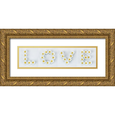 Word Love written in white Roses, FTBR-1916 Gold Ornate Wood Framed Art Print with Double Matting by Frank, Assaf