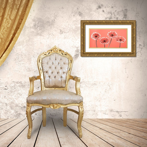 Four Gerberas - FTBR-1932 Gold Ornate Wood Framed Art Print with Double Matting by Frank, Assaf