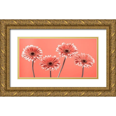 Four Gerberas - FTBR-1932 Gold Ornate Wood Framed Art Print with Double Matting by Frank, Assaf