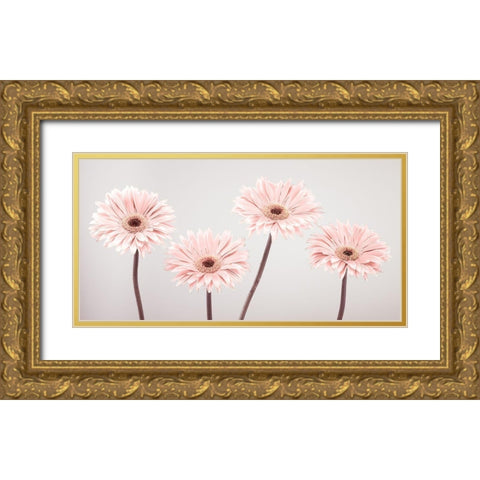 Four Gerberas, FTBR-1885 Gold Ornate Wood Framed Art Print with Double Matting by Frank, Assaf