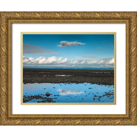 Portobello Beach, Edinburgh Gold Ornate Wood Framed Art Print with Double Matting by Frank, Assaf