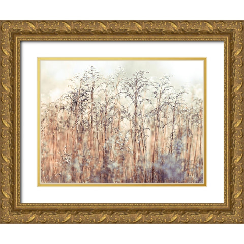 Grass Reeds Gold Ornate Wood Framed Art Print with Double Matting by Frank, Assaf
