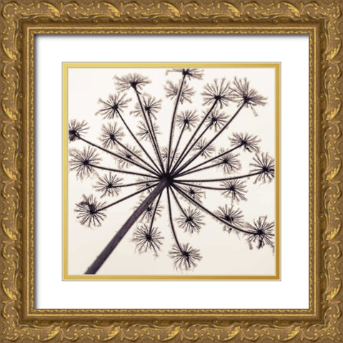 Frosty autumn leaves Gold Ornate Wood Framed Art Print with Double Matting by Frank, Assaf