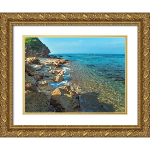 Rocky beach, Israel Gold Ornate Wood Framed Art Print with Double Matting by Frank, Assaf