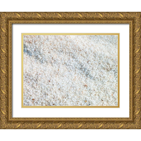 Salt granules at dead seashore Gold Ornate Wood Framed Art Print with Double Matting by Frank, Assaf