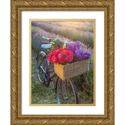 Basket of flowers on a bicycle Gold Ornate Wood Framed Art Print with Double Matting by Frank, Assaf