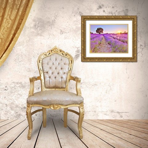 Lavender field at sunset Gold Ornate Wood Framed Art Print with Double Matting by Frank, Assaf