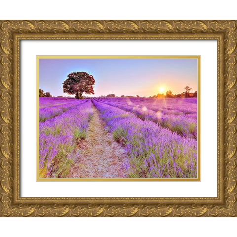 Lavender field at sunset Gold Ornate Wood Framed Art Print with Double Matting by Frank, Assaf