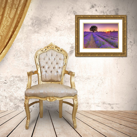 Lavender field at sunset Gold Ornate Wood Framed Art Print with Double Matting by Frank, Assaf