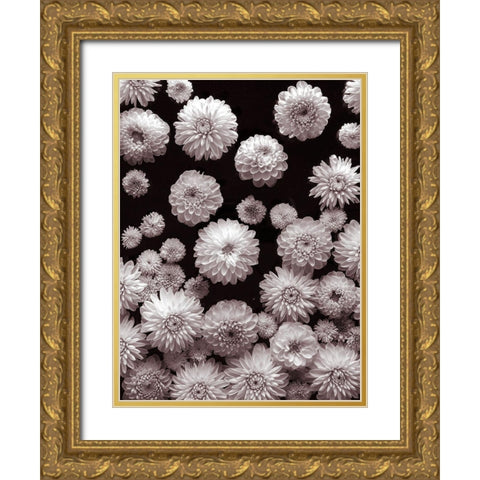 Dahlia Flowers-Full Frame Gold Ornate Wood Framed Art Print with Double Matting by Frank, Assaf