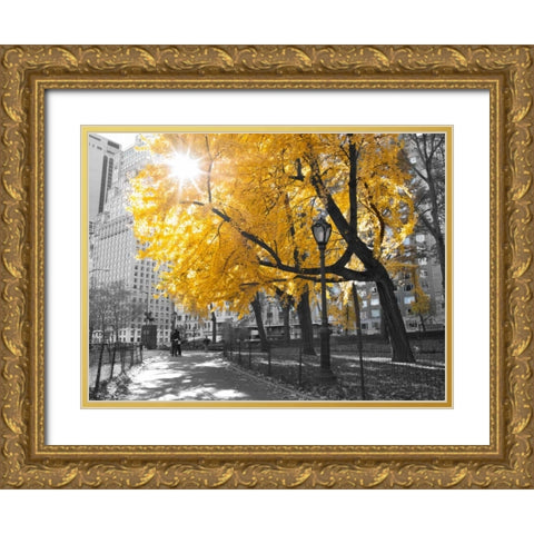Pathway through Central park, New York City Gold Ornate Wood Framed Art Print with Double Matting by Frank, Assaf