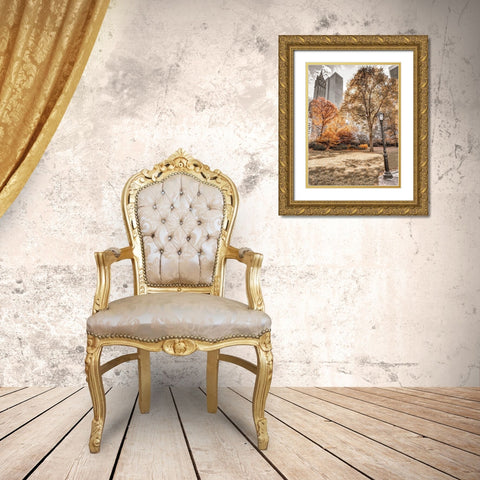 Central park in autumn-Manhattan-New York Gold Ornate Wood Framed Art Print with Double Matting by Frank, Assaf