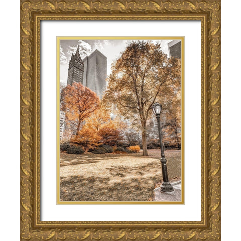 Central park in autumn-Manhattan-New York Gold Ornate Wood Framed Art Print with Double Matting by Frank, Assaf