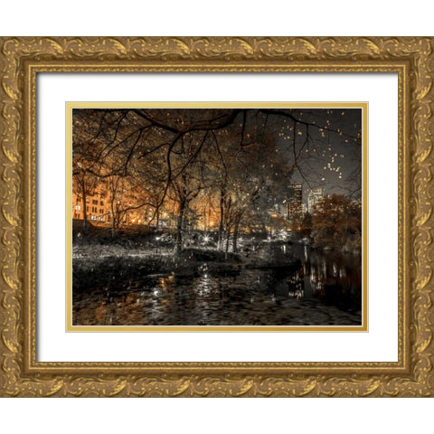 Evening view of Central Park in New York City Gold Ornate Wood Framed Art Print with Double Matting by Frank, Assaf