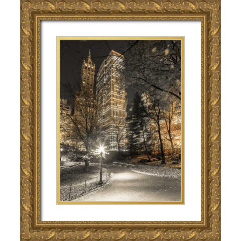 Evening view of Central Park in New York City Gold Ornate Wood Framed Art Print with Double Matting by Frank, Assaf