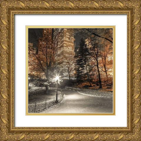 Evening view of Central Park in New York City Gold Ornate Wood Framed Art Print with Double Matting by Frank, Assaf