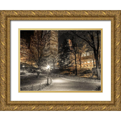 Evening view of Central Park in New York City Gold Ornate Wood Framed Art Print with Double Matting by Frank, Assaf