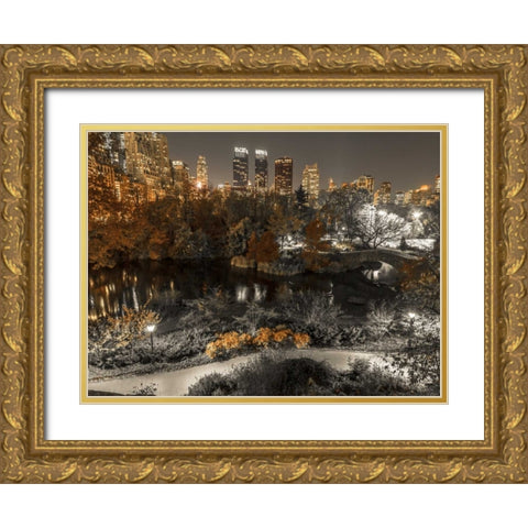 Evening view of Central Park in New York City Gold Ornate Wood Framed Art Print with Double Matting by Frank, Assaf