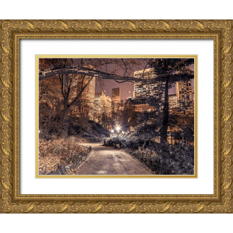 Evening view of Central Park in New York City Gold Ornate Wood Framed Art Print with Double Matting by Frank, Assaf