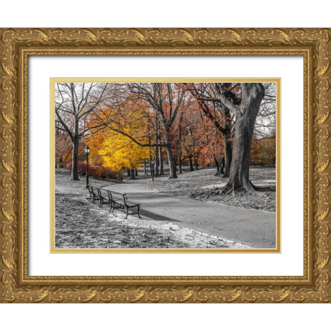 Pathway through Central Park, New York Gold Ornate Wood Framed Art Print with Double Matting by Frank, Assaf