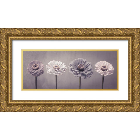 Four Zinnias in a row Gold Ornate Wood Framed Art Print with Double Matting by Frank, Assaf