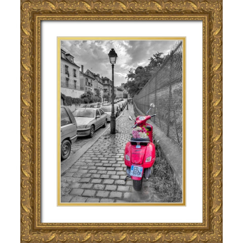 Bunch of Roses on scooter, Paris, France Gold Ornate Wood Framed Art Print with Double Matting by Frank, Assaf