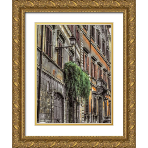 Old building in city of Rome, Italy Gold Ornate Wood Framed Art Print with Double Matting by Frank, Assaf