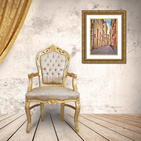 Narrow street through old buildings in Rome, Italy Gold Ornate Wood Framed Art Print with Double Matting by Frank, Assaf