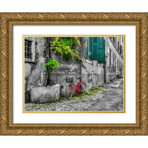 Bicycle outside old building, Rome, Italy Gold Ornate Wood Framed Art Print with Double Matting by Frank, Assaf