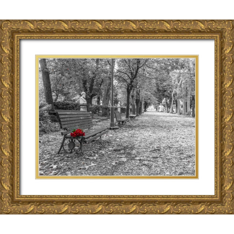 Bunch of roses on a park bench in Rome, Italy Gold Ornate Wood Framed Art Print with Double Matting by Frank, Assaf