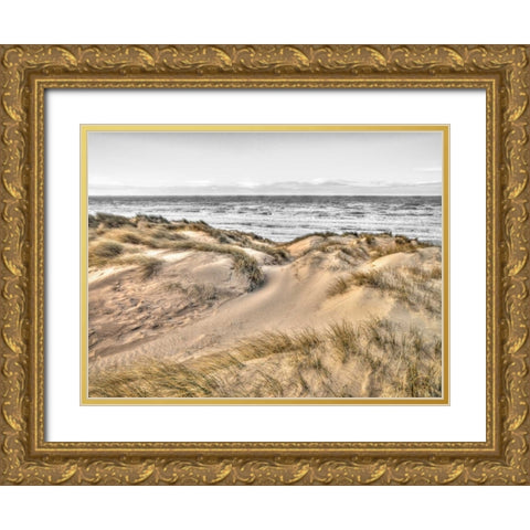 Tranquil beach with grass, Blackpool, UK Gold Ornate Wood Framed Art Print with Double Matting by Frank, Assaf