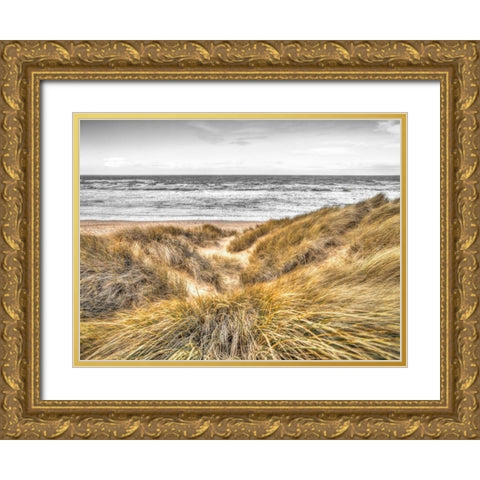 Tranquil beach with grass, Blackpool, UK Gold Ornate Wood Framed Art Print with Double Matting by Frank, Assaf