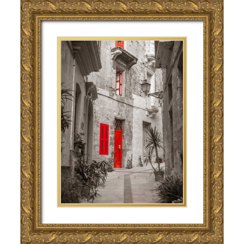 Narrow street through traditional maltese houses in Birgu, Malta Gold Ornate Wood Framed Art Print with Double Matting by Frank, Assaf