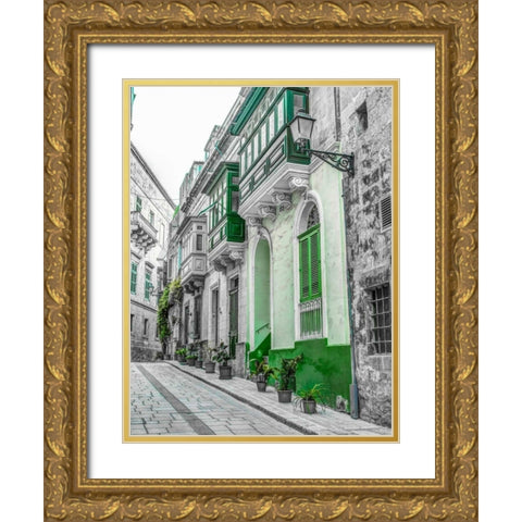 Traditional maltese houses in Birgu, Malta Gold Ornate Wood Framed Art Print with Double Matting by Frank, Assaf