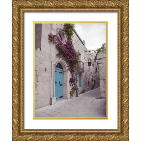 Traditional houses on narrow lanes of Mdina, Malta Gold Ornate Wood Framed Art Print with Double Matting by Frank, Assaf