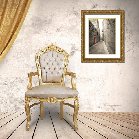 Traditional houses on narrow lanes of Mdina, Malta Gold Ornate Wood Framed Art Print with Double Matting by Frank, Assaf