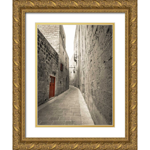 Traditional houses on narrow lanes of Mdina, Malta Gold Ornate Wood Framed Art Print with Double Matting by Frank, Assaf