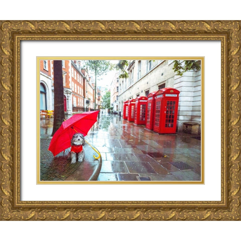 Dog with umbrella on London city street Gold Ornate Wood Framed Art Print with Double Matting by Frank, Assaf