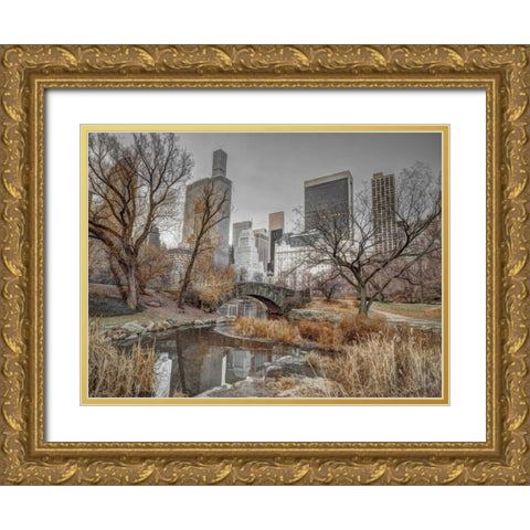 Central park and Manhattan skyline, New York Gold Ornate Wood Framed Art Print with Double Matting by Frank, Assaf