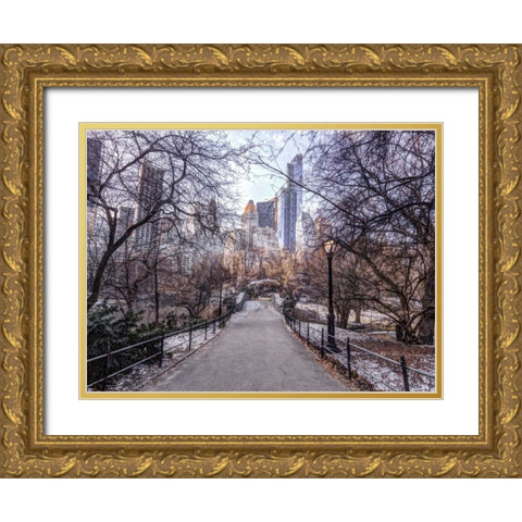 Pathway through Central park, New York Gold Ornate Wood Framed Art Print with Double Matting by Frank, Assaf