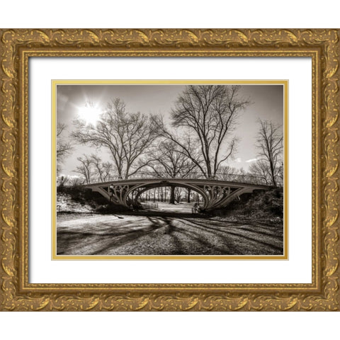 Walkway bridge in Central park, New York, FTBR-1921 Gold Ornate Wood Framed Art Print with Double Matting by Frank, Assaf