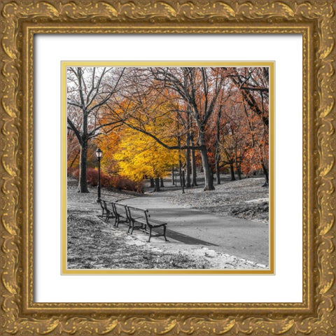 AF20131120 New York 1775C03 Gold Ornate Wood Framed Art Print with Double Matting by Frank, Assaf
