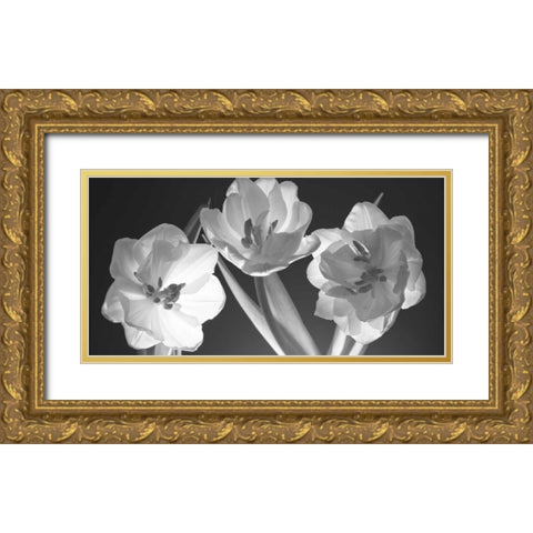 Tulips, black and white Gold Ornate Wood Framed Art Print with Double Matting by Frank, Assaf