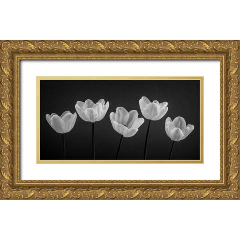Five Tulips in a row Gold Ornate Wood Framed Art Print with Double Matting by Frank, Assaf