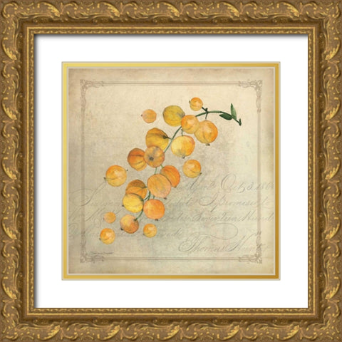 Yellow Berries Gold Ornate Wood Framed Art Print with Double Matting by Marrott, Stephanie