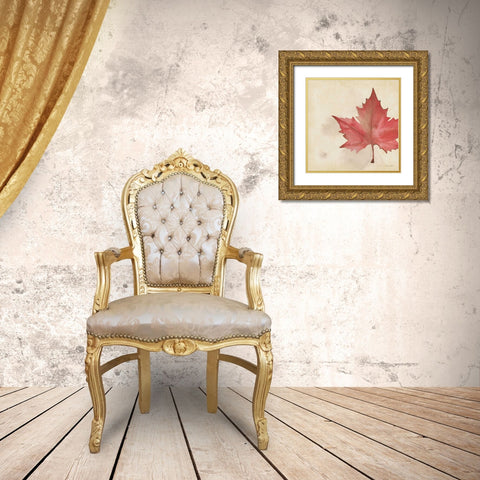 Maple In Fall Gold Ornate Wood Framed Art Print with Double Matting by Marrott, Stephanie