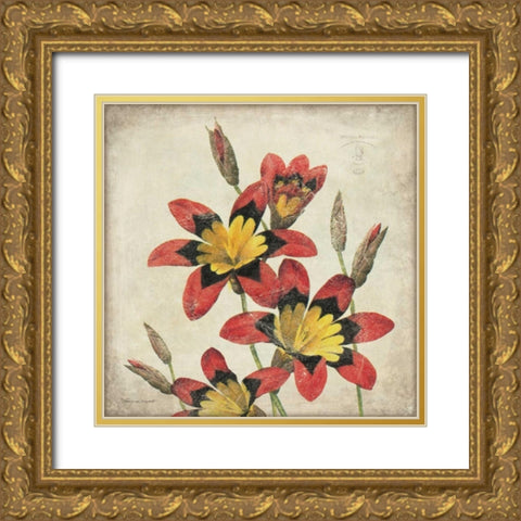 Red Lily Flower Gold Ornate Wood Framed Art Print with Double Matting by Marrott, Stephanie